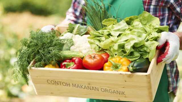 10 Makanan Organik yang Kaya Nutrisi dan Sehat untuk Konsumsi