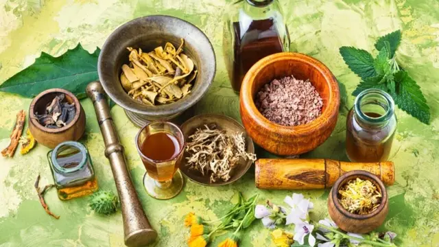 Hemat & Sehat! 7 Tanaman Herbal Wajib di Kebun Rumah