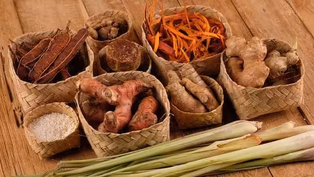 Cara Memanfaatkan Tanaman Herbal untuk Kesehatan Keluarga